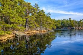 Les 20 Plus Beaux Endroits A Visiter En Suede Beaux Endroits Suede Paysage Paysage Nordique