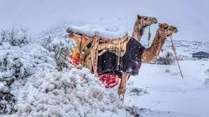 We cant call the method at class creation time as it has dynamic. êµ­ì œ Snowy Sahara Desert Saudi Camels Hit By Snow World Today News