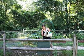 We did not find results for: 8 Compelling Reasons To Compost At Home Honestly Modern