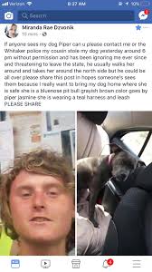 Lost Dog in Pennsylvania Ave Area