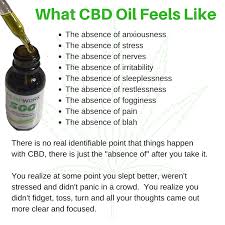 There are 3 major steps for using cbd oil for anxiety. Rainforest Alliance Learning Network Jon Win Indicators On Cbd Oil For Anxiety How Cbd Works Wonders For Anxiety You Need To Know