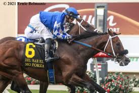 The racing dudes have been at it for years, offering handicapping picks and analysis daily for over 9 years. We758mlqvf3vsm