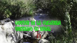 El área natural protegida bosque la primavera es una amplia zona forestal localizada al poniente de la ciudad de guadalajara, compartiendo terreno entre los municipios de zapopan, tala y tlajomulco de zúñiga convirtiéndose en el pulmón de la zona metropolitana de guadalajara y sus alrededores. Bosque De La Primavera Rio De Agua Caliente Visitando Un Lugar Youtube