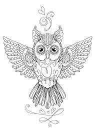 Kleurplaten en zo kleurplaten van vogels 618 x 874 jpg pixel. Kleurplaten Uilen Mandala