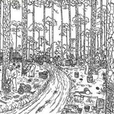 Coloring coloring pages nature scenes. Lizard In The Zoo Coloring Pages Download Print Online Coloring Pages For Free Color Nimbus