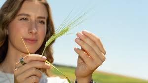 Have a great summer break, Vandals!