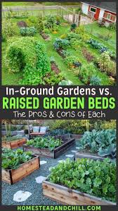 Raised Garden Beds Vs In Ground Beds Pros Cons Homestead And Chill In 2020 Garden Layout Vegetable Vegetable Garden Design Garden Bed Layout