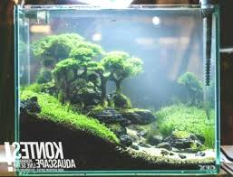 21 Best Aquascaping Design Ideas To Decor Your Aquarium Tips Inside Cheap Decorating Ideas Aquascape Design Aquascape Cheap Decor