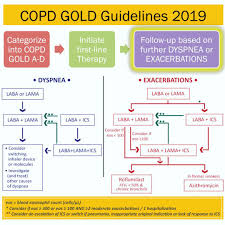Gold helps raise awareness of copd and works with doctors and other health experts to create better ways to prevent and treat this condition. Copd Management Algorithm Gold 2019 Guidelines Categorize Grepmed