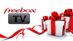 Les Lusophones A La Fete Sur Freebox Tv Avec Un Bouquet Tv Offert