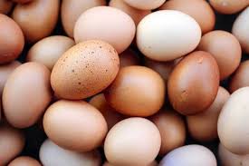 Maybe you would like to learn more about one of these? Kenapa Warna Telur Ayam Bisa Berbeda Begini Kata Ahli Artikel Pertanian Terbaru Berita Pertanian Terbaru