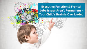 Image result for Frontal Lobe