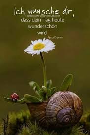Gutenmorgen Schone Natur Schonen Tag Spruche Bilder