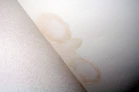 Both are definitely problems, but right now, you have an even more urgent one, because a leak near a light fixture is a serious electrical hazard. Yellow Stains On Your Ceiling Roof Net