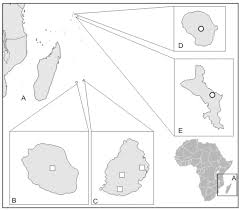 Provided to youtube by believe sasj'bosse au black · tristambankable℗ 100%purprodreleased on: The Distribution Map Of Hederorkis Scandens Thouars Squares And H Download Scientific Diagram