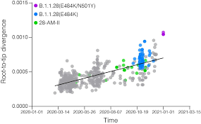 N501y.has been found in other countries, including the united kingdom. Phylogenetic Relationship Of Sars Cov 2 Sequences From Amazonas With Emerging Brazilian Variants Harboring Mutations E484k And N501y In The Spike Protein Ncov 2019 Genomic Epidemiology Virological
