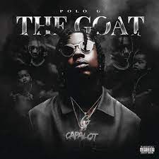Taurus tremani bartlett, known professionally as polo g, is an american rapper, singer, songwriter, and record executive. Polo G The Goat Vinyl Walmart Com Walmart Com