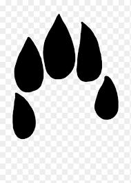 Shop for rabbit foot wall art from the world's greatest living artists. Rabbits Foot Png Images Pngegg
