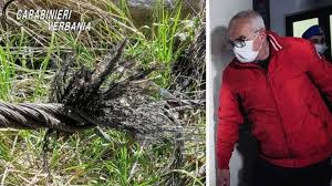 Eppure, di fronte ad una tragedia come quella del mottarone, di nata a busto arsizio 55 anni fa, olimpia bossi è una tosta. Nerini Und Perocchio Auf Freiem Fuss Hausarrest Fur Tadini Vox News Sudtirol