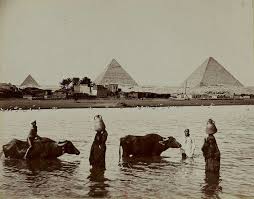 لقطة نادره من امام اهرامات الجيزة وقت الفيضان حوالي عام 1880 م من صفحة مصر زمان صور تاريخية قديمة و نادرة Old Egypt Egyptian History Egypt