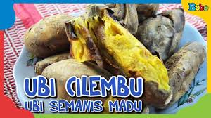 Ubi ini memang khas, karena mempunyai aroma mirip dengan madu, sangat harum dan mempunyai tekstur beberapa hasil olahan dari kentang ialah : Ubi Cilembu Ubi Semanis Madu Indonesiaku Youtube