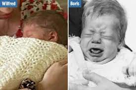 Johnson has a total of six children from three different women, … Boris Johnson S Baby Son Wilfred Born With A Full Head Of Unruly Blond Hair Like His Pm Dad