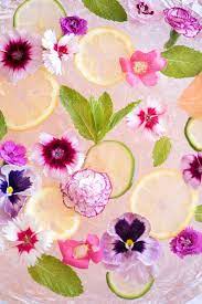 Simon uses edible flowers as a garnish for drinks such as the rum d.m.c., milk punch and ship load of rum. 196 Specialty Cocktails With Edible Flowers Herbs Ideas Edible Flowers Cocktails Edible