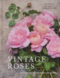An excellent choice for a container or front of the border. Amazon Com Vintage Roses Beautiful Varieties For Home And Garden 9781423646716 Eastoe Jane Lane Georgianna Books