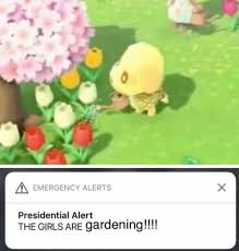 Animal Crossing Memes Animal Crossing Funny Animal Crossing Animal Crossing Memes