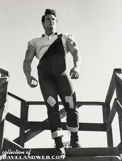 Davelandblog: Steve Reeves as Li'l Abner