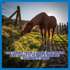 Best Horse Quotes To Unharness Your Spirits Sports Feel Good Stories