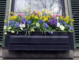 Check spelling or type a new query. Spring Planter Window Box Flowers Container Flowers Window Box Plants