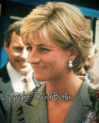 Renate Lutz's Instagram, Twitter & Facebook