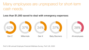 Feel free to revise this job description to meet your specific job duties and job requirements. 2020 Employee Financial Wellness Survey Pwc