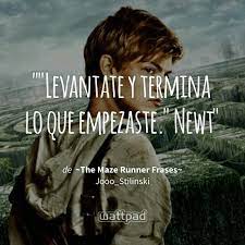Pin De Eli Ynz En Me Gusta Libros De Maze Runner Frases De El Corredor Del Laberinto Frases De Libros Juveniles