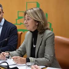 La fiscal superior del País Vasco advierte: 'Rara es la guardia sin delito  contra la libertad sexual en menores'