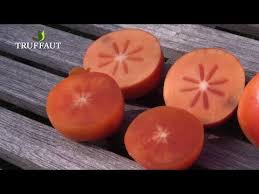 Comment Manger Le Kaki Truffaut Youtube