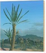 Image result for Stolzia williamsonii