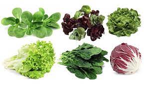 Check spelling or type a new query. 4 Tipi Di Insalata Per Un Orto Estivo