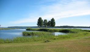 Jul 05, 2021 · auf dieser karte seht ihr über 140 touristisch interessante orte in schweden. Wikiloc Picture Of Hrg Oland Kalmar Schweden Trollskogen Forest Naturreservat Grankullavik 1 3
