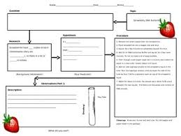Maybe you would like to learn more about one of these? Lab Report On Strawberry Dna Extraction
