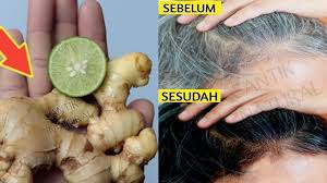 Dokter Terkejut Uban Hilang Selamanya Tanpa Semir Rambut Youtube Rambut Obat Alami Rambut Alami