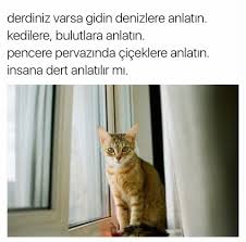 Hacer K Adli Kullanicinin Sozler Dualar Panosundaki Pin Pervaz Kedi Bulutlar