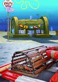 25 Facts That Will Destroy Your Worldview Facts Crab Trap Fun Facts