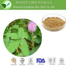 3.5 out of 5 stars 14. Mimosa Hostilis Powdered Root Bark China Mimosa Hostilis Root Bark Dry Bark Made In China Com