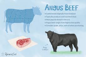 The aberdeen angus is a scottish breed of small beef cattle. What Is Angus Beef