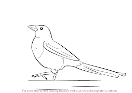 Magpie crow bird icons set, simple style magpie crow bird icons set. Learn How To Draw A Magpie Birds Step By Step Drawing Tutorials
