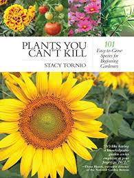 All you need is a pot, a bit of potting soil and a position that gets a decent amount of sunlight. 24 Of The Best Gardening Books For Beginners In 2021
