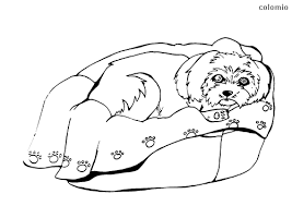 Yorkshire terrier coloring pages are a fun way for kids of all ages to develop creativity, focus, motor skills and color recognition. Dogs Coloring Pages Free Printable Dog Coloring Sheets Page 3