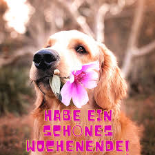 Gaestebuch eintrag schoenes wochenende oder gbpic wochenend gruß. á… Schones Wochenende Bilder Fur Whatsapp Kostenlos